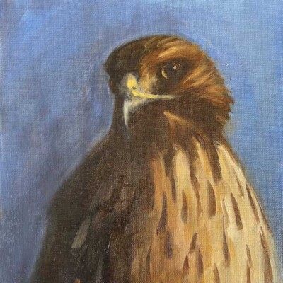 Kritika Bala - Lone Tiger Art