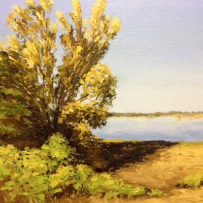 Kritika Bala - Lone Tiger Art